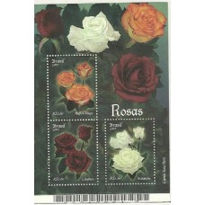 Bl-146 - Rosas Bl-146 - Rosas