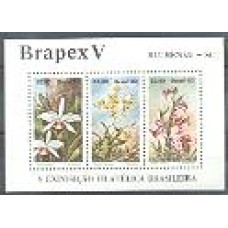 Bl-051 - BRAPEX V Bl-051 - BRAPEX V