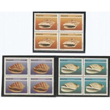 C-1645/7 - Moluscos Quadras C-1645/7 - Moluscos Quadras