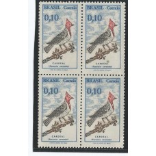 C-0642 - Pºssaro Brasileiro Quadra C-0642 - Pºssaro Brasileiro Quadra