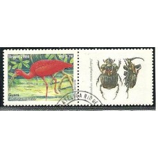 Personalizado - C-2564 - Guarº Carimbado(P005A)