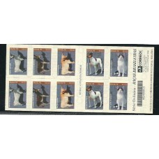 CD-24 - Raças Brasileiras CD-24 - Raças Brasileiras