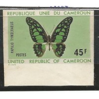 Cameroun - Borboleta(FAU-C023)