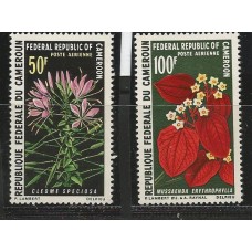 Cameroun - Flora(FLO-CAM01)