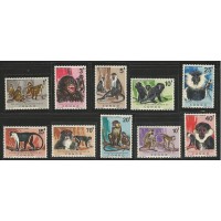 Congo - Macacos(FAU-CON01) Congo - Macacos(FAU-CON01)
