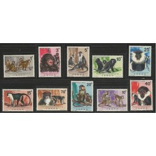 Congo - Macacos(FAU-CON01)