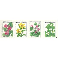 Coréia do Sul - Flores (FLO-CRS02)