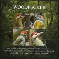 Gambia - Aves/Pica-Pau(FAU-GAM01)