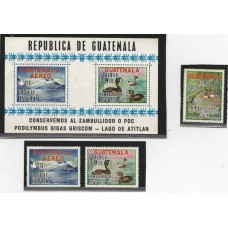 Guatemala Aves/Vulcão(PROMO011)