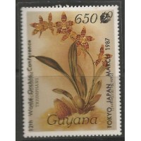 Guyana - Orquídeas(FLO-GUY29)