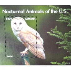 Guyana - Fauna/Coruja(FAU-GUY02)