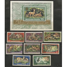 Hungria - Fauna de Caºa (FAU-HU02)