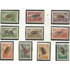 Hungria - Insetos (FAU-HG0038)