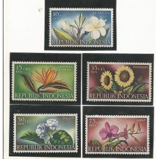 Indonésia - Flores (FLO0102A) Indonésia - Flores (FLO0102A)