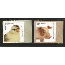 Islandia - Ave/Porco (FAU-IS01)