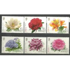 Jersey - 2047/52 - Flores Jardim/China