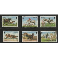 Jersey - 0746/53 - Cavalos