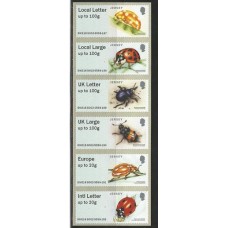 Jersey - D-49/54 - Etiquetas c/ Besouros