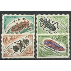 Laos - Insetos (FAU-L013)