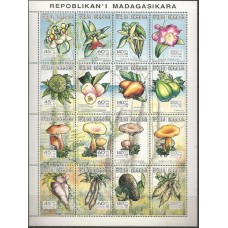Madagascar - Orquídeas/Frutos/Cogumelos(FLO-MAD02) Madagascar - Orquídeas/Frutos/Cogumelos(FLO-MAD02)