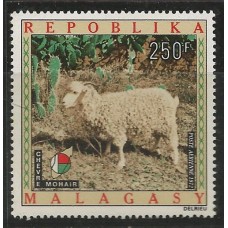 Madagascar - Ovelha (FAU-MAD02)