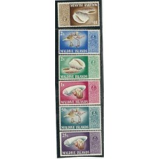 Maldives - Aves/Conchas(FAU-M076)