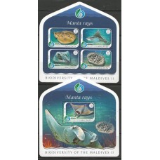 Maldives - Arraias/Biodiversidade Maldives II(FAU-M071D)