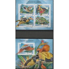 Maldives - Aves Tropicais(FAU-MLD75)