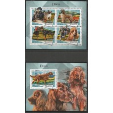 Maldives - Câes (FAU-MLD107)