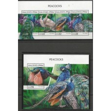 Maldives - Aves/Pavºes (FAU-MLD74)