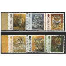 Isle of Man - 1913/18 - Felinos