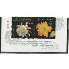 México - Flores (FLO0136) México - Flores (FLO0136)