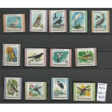 Montserrat - Aves (FAU-M370)