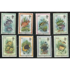 Montserrat - Peixes (FAU-MONT01)