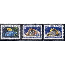 Nova Caledonia - Peixes(FAU-NC038)