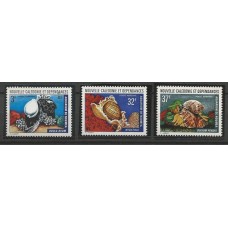 Nova Caledonia - Fauna Marinha(FAU-NC028)