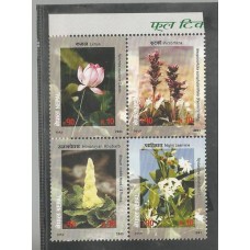 Nepal - Flores(FLO-NP01) Nepal - Flores(FLO-NP01)