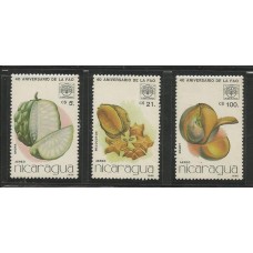 Nicaragua - Frutos (FLO-NIC01) Nicaragua - Frutos (FLO-NIC01)