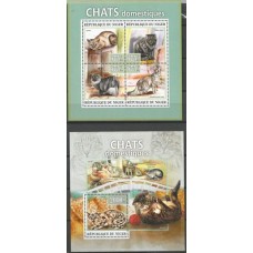 Niger - Gatos Domésticos (FAU-NR038)