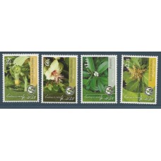 Norfolk - Flores(FLO0146C) Norfolk - Flores(FLO0146C)