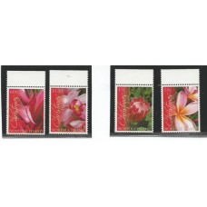 Norfolk - Flores/Orquídea/Natal(FLO0146) Norfolk - Flores/Orquídea/Natal(FLO0146)