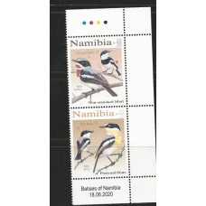 Namibia - Aves (FAU-NK003)