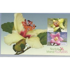 Norfolk - Flores(FLO0146E) Norfolk - Flores(FLO0146E)