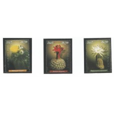 Peru - Flores de Cactus(FLO150)