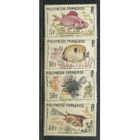 Polinésia Francesa - Peixes(FAU-PF018)