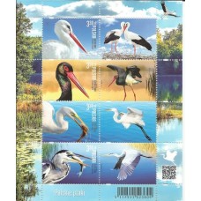 Polônia - Aves (FAU-PO04)