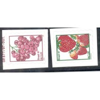 Regulares - 742/3 - Frutas (REG033)