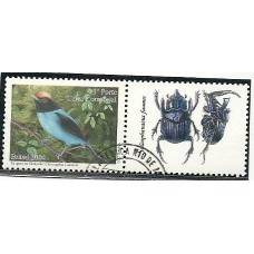 Personalizado - C-2596 - Tangarº Carimbado(SP-11)(P006A)