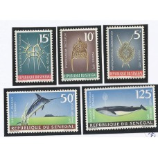 Senegal - Fauna Marinha (PROMO003)