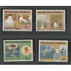 Senegal - Fauna Marinha(FAU-SE022)
